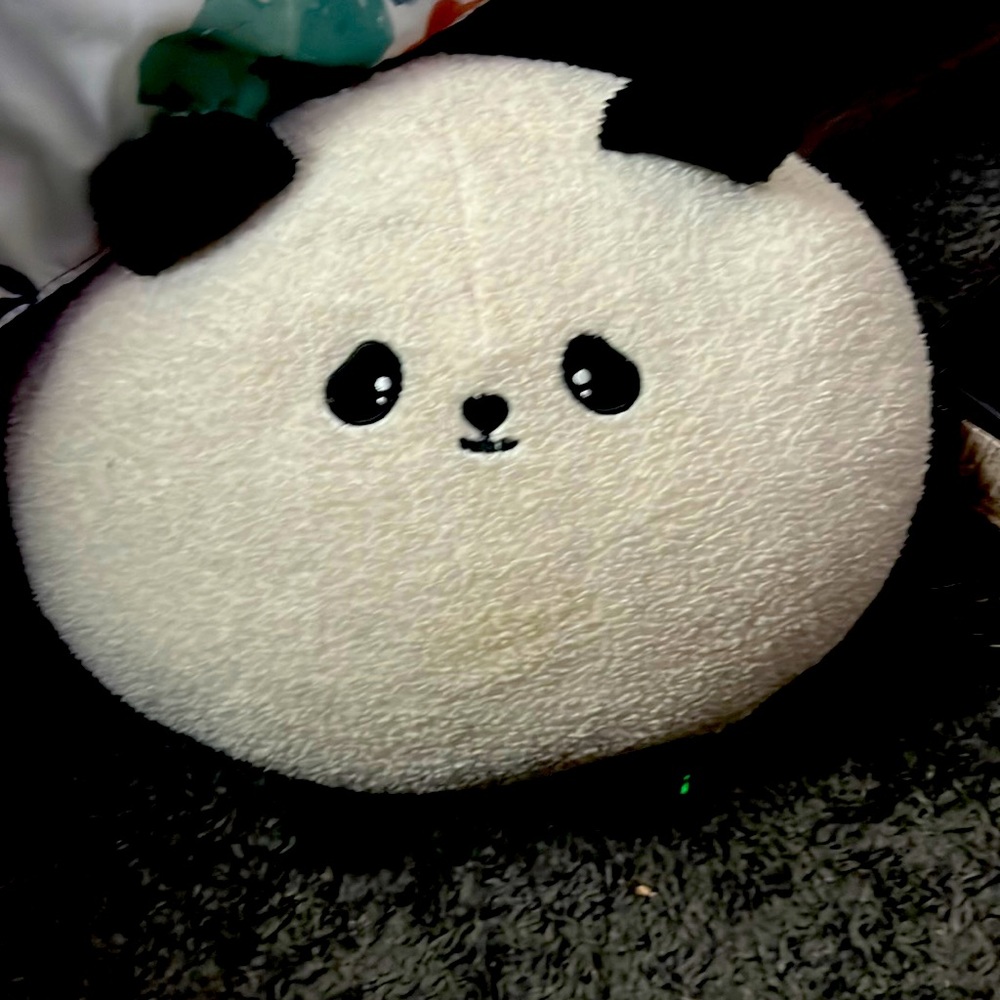 This is a panda stuffed animal it is white fluffy. It’s good for kids.